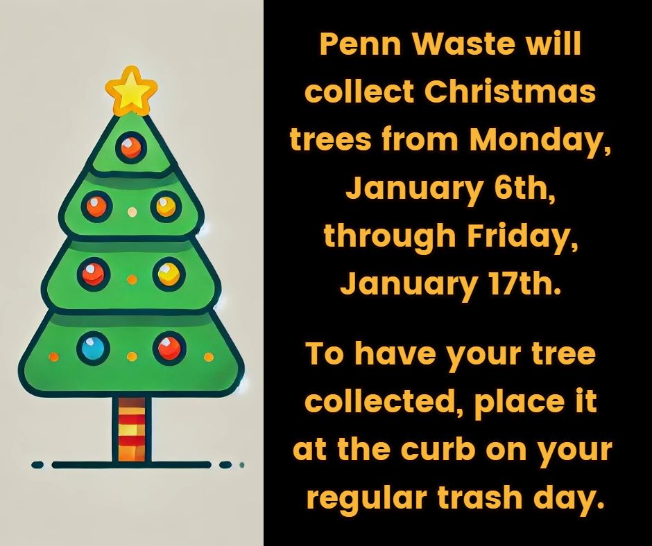 xmas collection graphic 2025