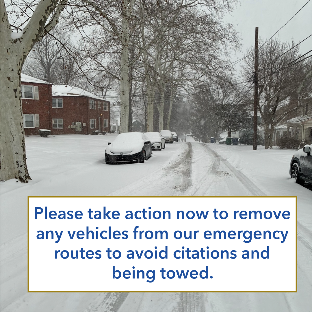 Remove vehicles from street immediately Lower Paxton