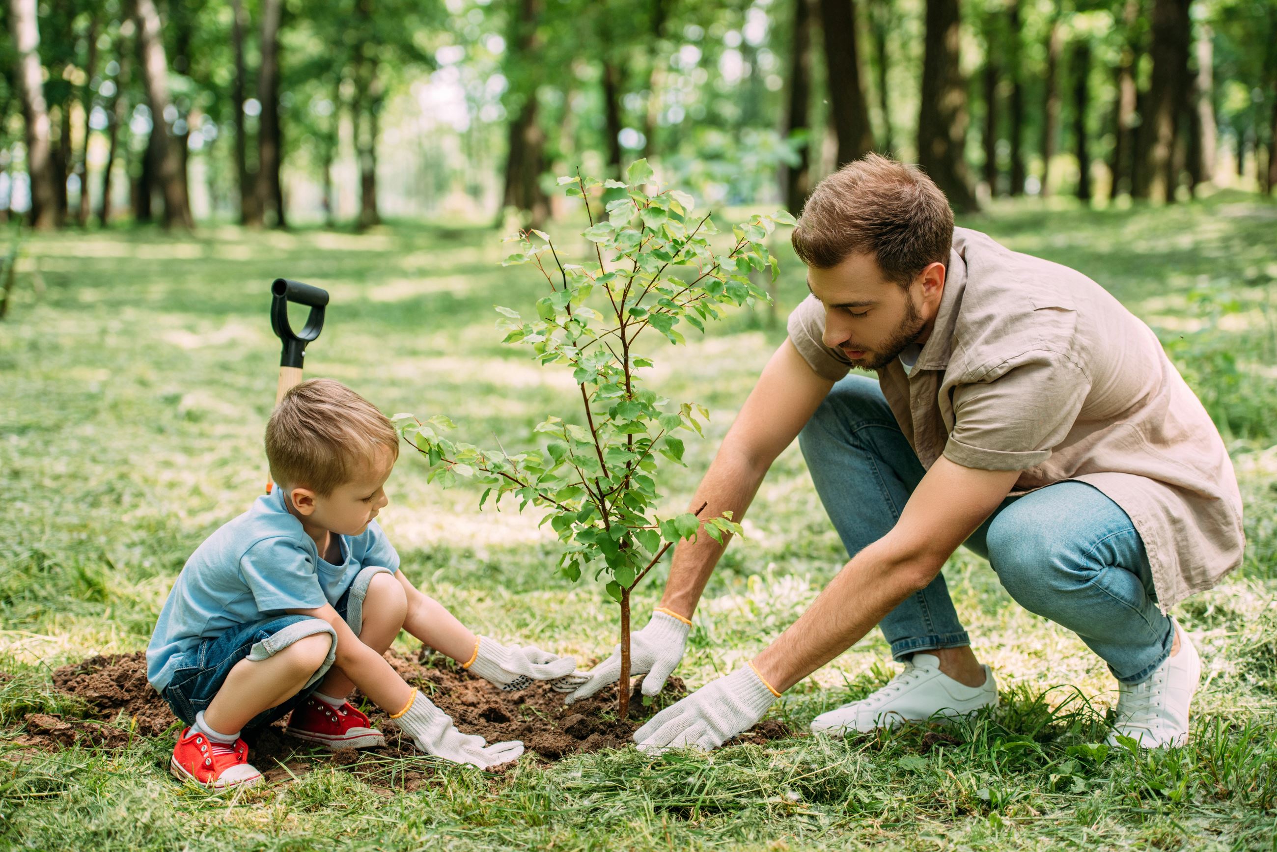 father and son planting a tree