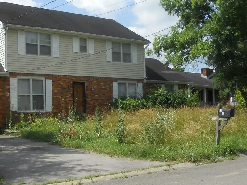 overgrown grass and weeds